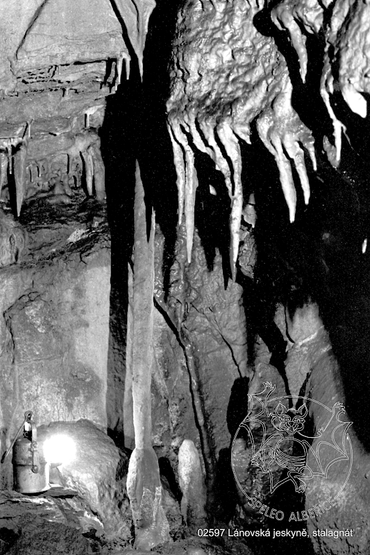 Klasické krápníkové výzdobě v Lánovské jeskyni vévodí 110 centimetrů vysoký hůlkovitý stalagnát. Ostatní krápníkoví bratříčci jsou mnohem menší.  - Kliknutím zvětšíte.